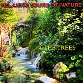 RELAXING SOUND OF NATURE - THE TREES